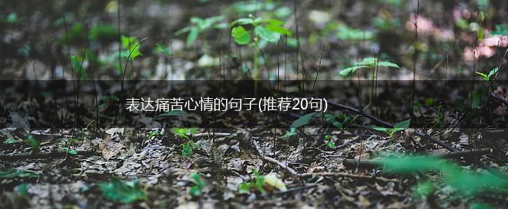 表达痛苦心情的句子(推荐20句),第1张