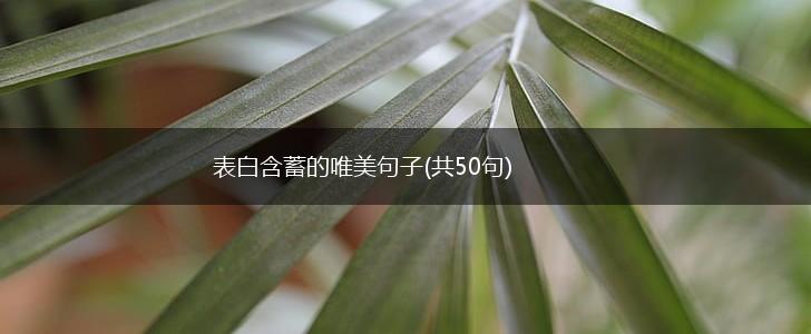 表白含蓄的唯美句子(共50句),第1张