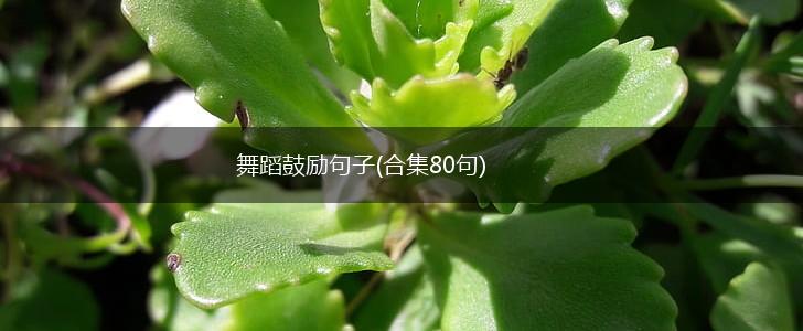 舞蹈鼓励句子(合集80句),第1张