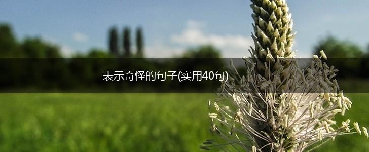 表示奇怪的句子(实用40句),第1张