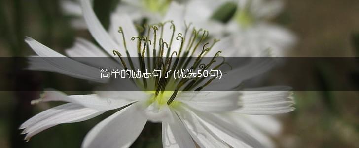 简单的励志句子(优选50句),第1张