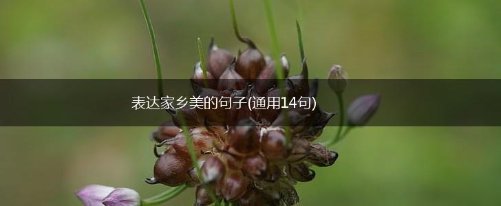 表达家乡美的句子(通用14句),第1张