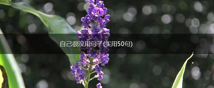 自己很没用句子(实用50句),第1张