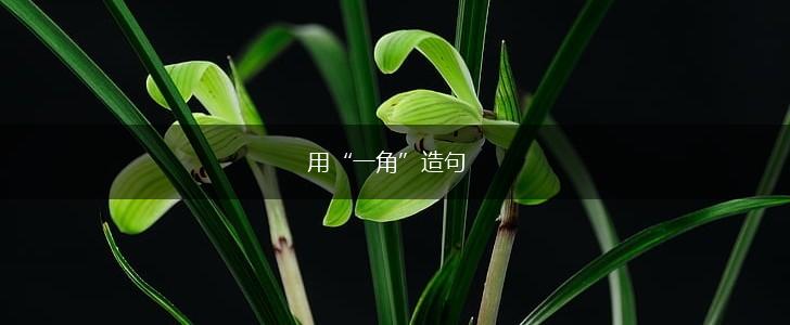 用“一角”造句,第1张