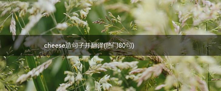 cheese造句子并翻译(热门80句),第1张