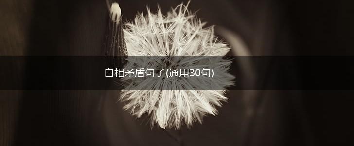 自相矛盾句子(通用30句),第1张