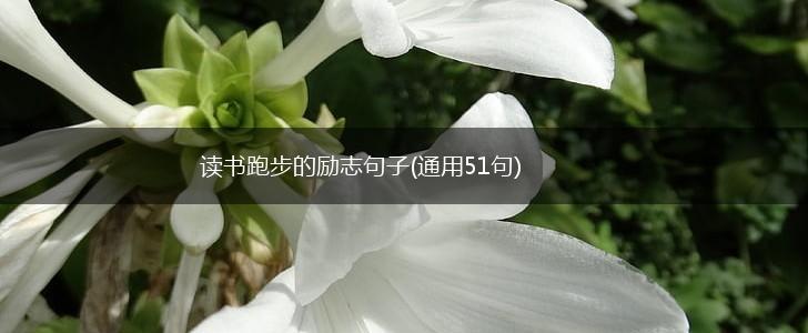 读书跑步的励志句子(通用51句),第1张