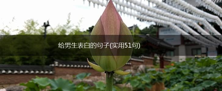 给男生表白的句子(实用51句),第1张