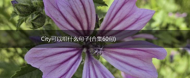City可以组什么句子(合集60句),第1张
