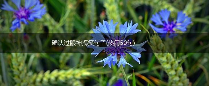 确认过眼神搞笑句子(热门50句),第1张