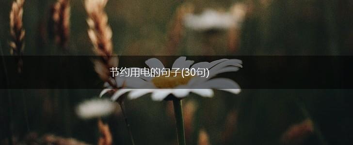 节约用电的句子(30句),第1张