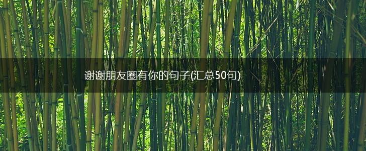 谢谢朋友圈有你的句子(汇总50句),第1张