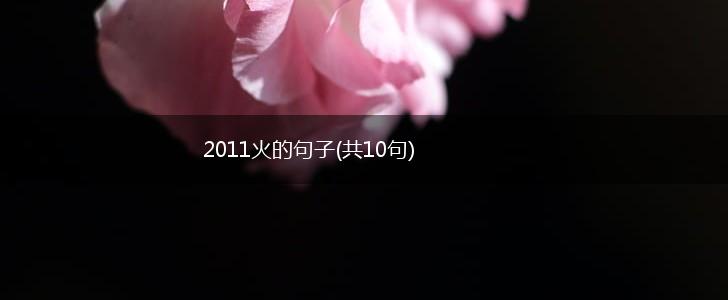 2011火的句子(共10句),第1张
