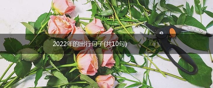 2022年的出行句子(共10句),第1张