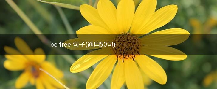 be free 句子(通用50句),第1张
