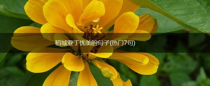 稻城亚丁优美的句子(热门7句),第1张