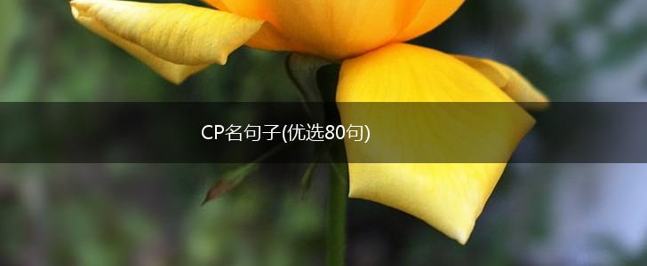 CP名句子(优选80句),第1张