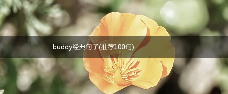 buddy经典句子(推荐100句),第1张