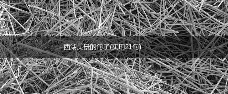 西湖美景的句子(实用21句),第1张