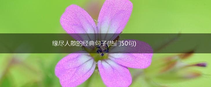 缘尽人散的经典句子(热门50句),第1张