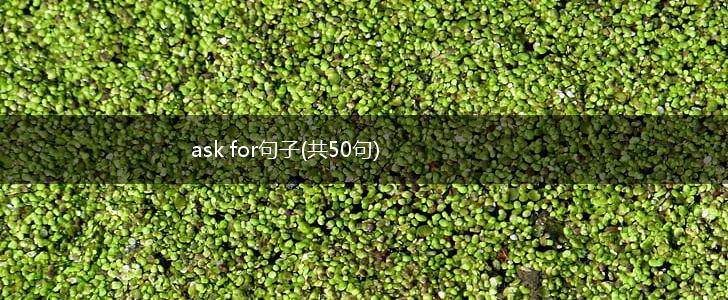 ask for句子(共50句),第1张
