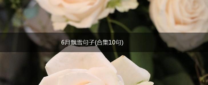 6月飘雪句子(合集10句),第1张