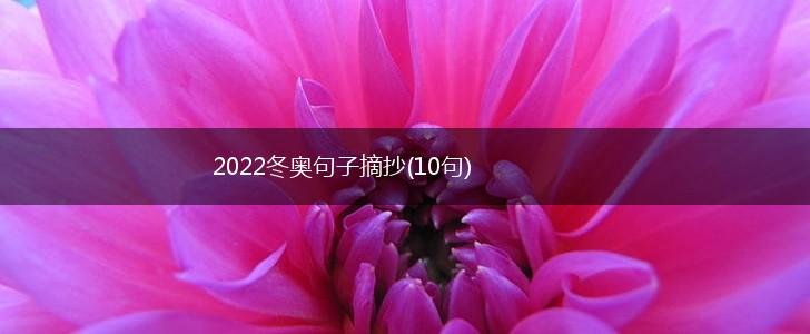 2022冬奥句子摘抄(10句),第1张