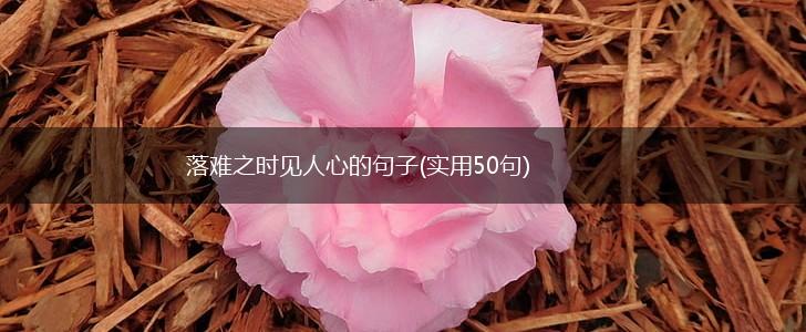 落难之时见人心的句子(实用50句),第1张
