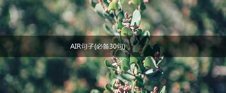 AIR句子(必备30句),第1张