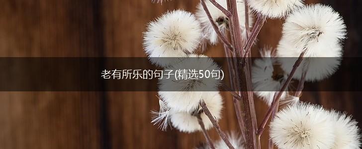 老有所乐的句子(精选50句),第1张