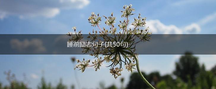 睡前励志句子(共50句),第1张