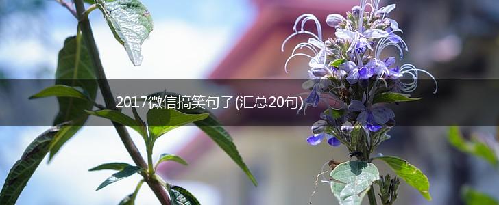2017微信搞笑句子(汇总20句),第1张