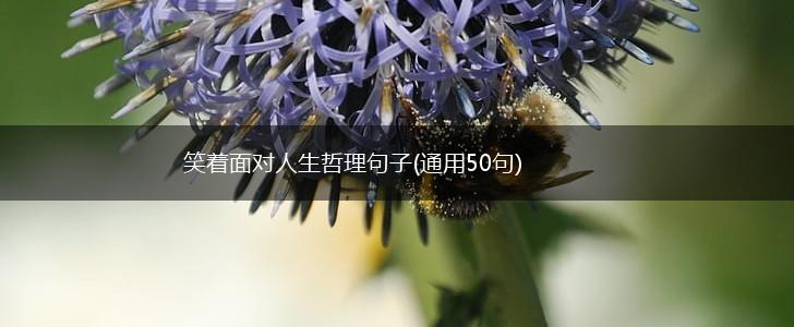 笑着面对人生哲理句子(通用50句),第1张