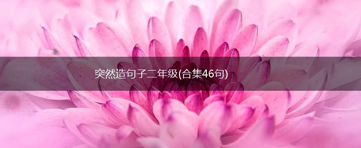 突然造句子二年级(合集46句),第1张