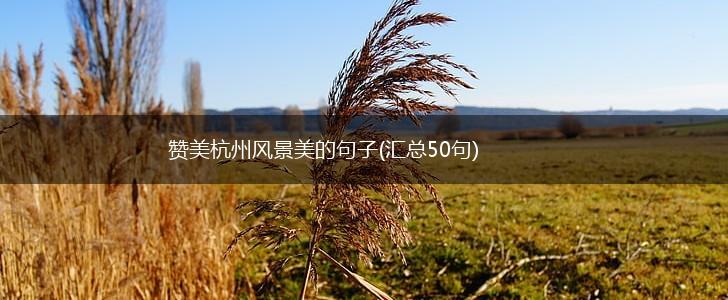 赞美杭州风景美的句子(汇总50句),第1张