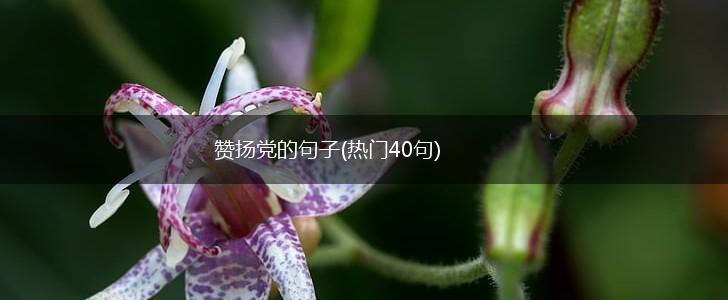 赞扬党的句子(热门40句),第1张