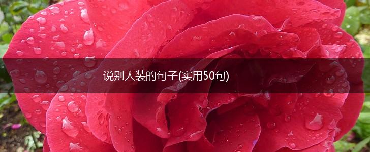 说别人装的句子(实用50句),第1张