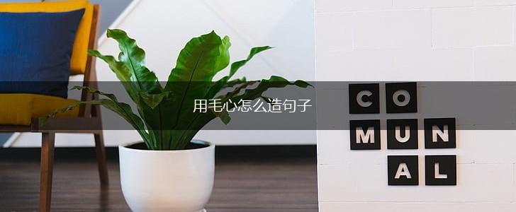 用毛心怎么造句子,第1张