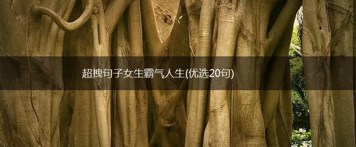 超拽句子女生霸气人生(优选20句),第1张