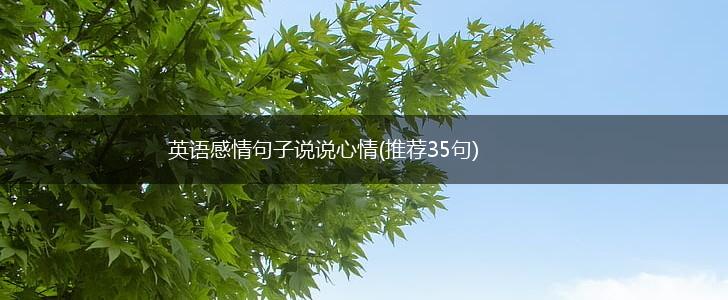 英语感情句子说说心情(推荐35句),第1张