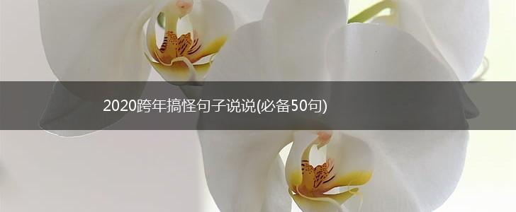 2020跨年搞怪句子说说(必备50句),第1张