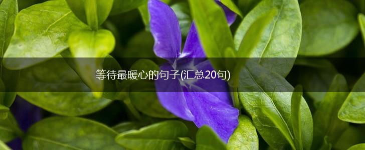 等待最暖心的句子(汇总20句),第1张