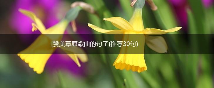 赞美草原歌曲的句子(推荐30句),第1张