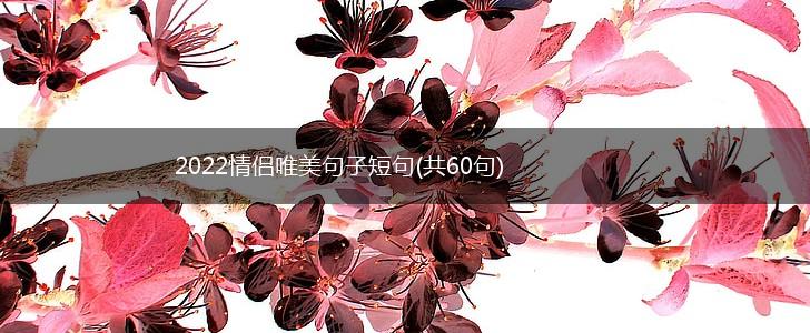 2022情侣唯美句子短句(共60句),第1张