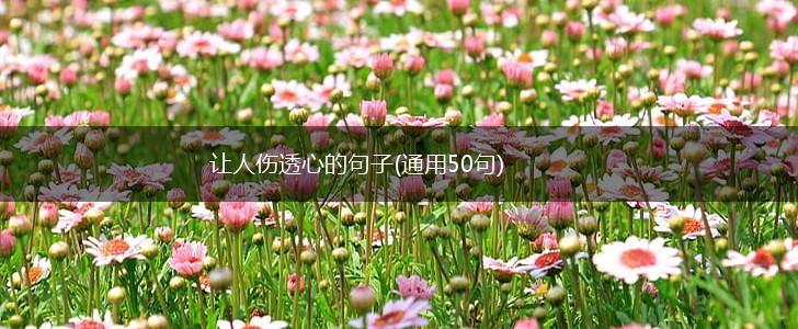 让人伤透心的句子(通用50句),第1张