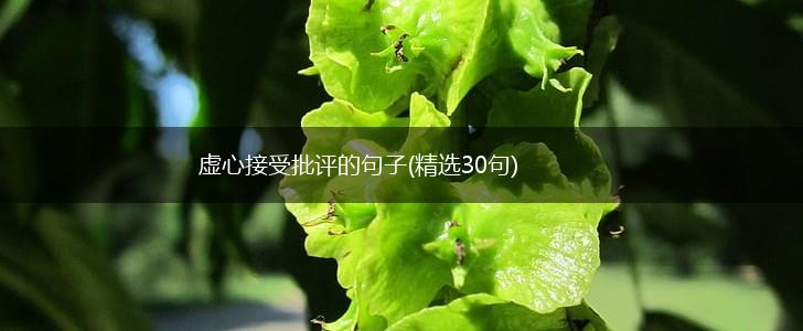 虚心接受批评的句子(精选30句),第1张