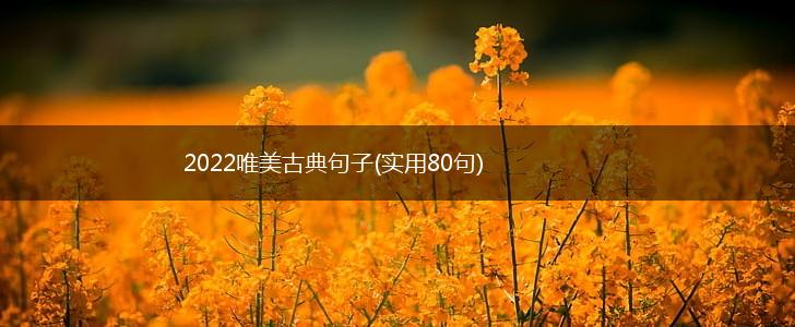 2022唯美古典句子(实用80句),第1张