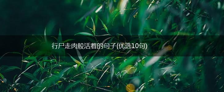 行尸走肉般活着的句子(优选10句),第1张