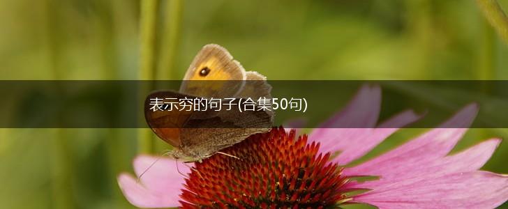 表示穷的句子(合集50句),第1张