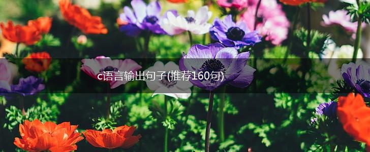 c语言输出句子(推荐160句),第1张